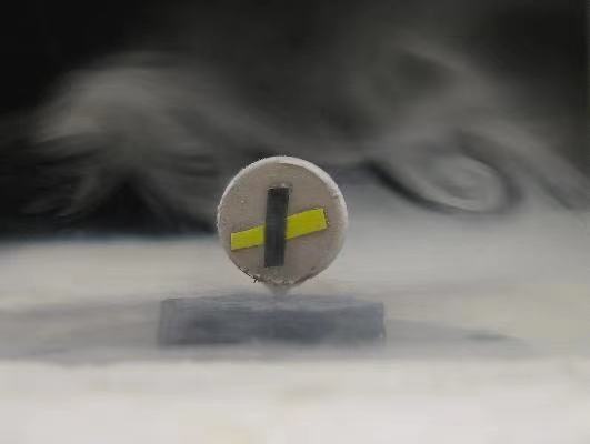 1617609332160480.jpg
